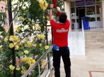 GOLDPAK temizlik hizmetleri