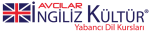 Avcılar İngiliz Kültür Yabancı Dil Kursları