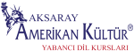 Aksaray Amerikan Kültür