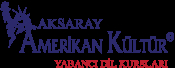 Aksaray Amerikan Kültür